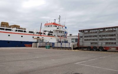 La caída en 2018 de la exportación de animales amenaza con ser un síntoma de crisis de este tráfico en el Puerto