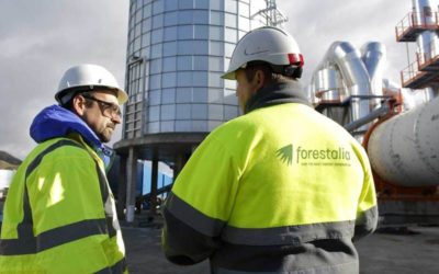 Forestalia estudia la opción del Puerto de Tarragona como vía de exportación de su producción de pellets
