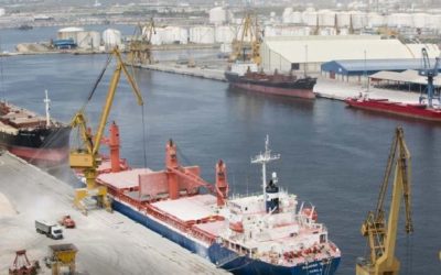 Alfaship cerró el año con un aumento del 27% en consignaciones