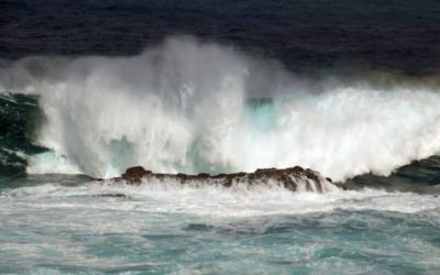 La Generalitat ejecutará obras de emergencia en los puertos de l’Ametlla de Mar, l’Ampolla y las Cases d’Alcanar
