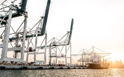 Next Maritime cierra 2016 con un crecimiento del 12% en su volumen de operaciones