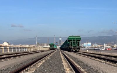 Adif adjudica a Transportes Portuarios y APM Terminals Spain Railway la gestión de la terminal de mercancías de Tarragona