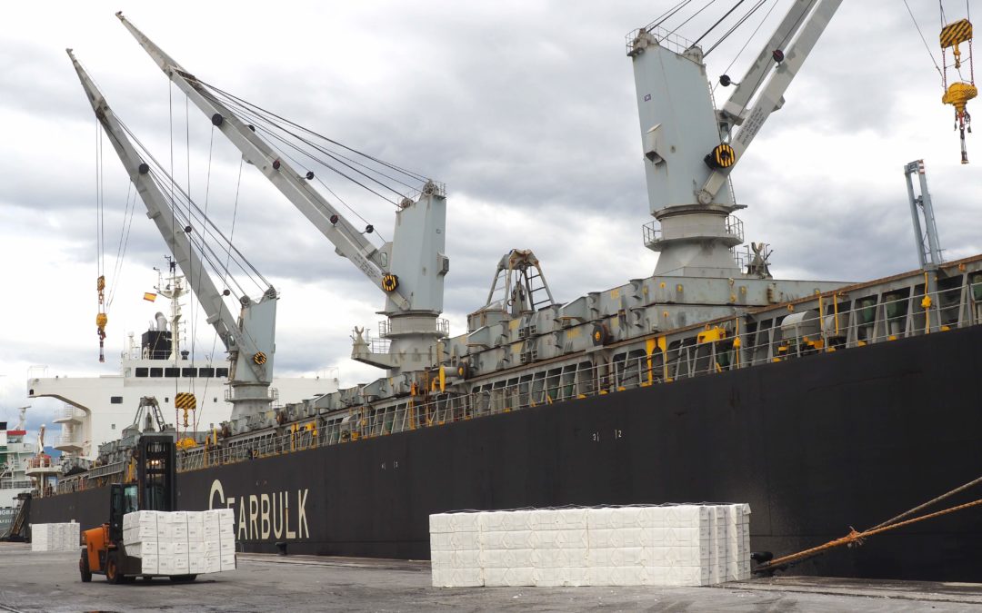 El Puerto registra la operativa de pasta de papel más grande de su historia