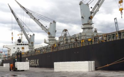 El Puerto registra la operativa de pasta de papel más grande de su historia