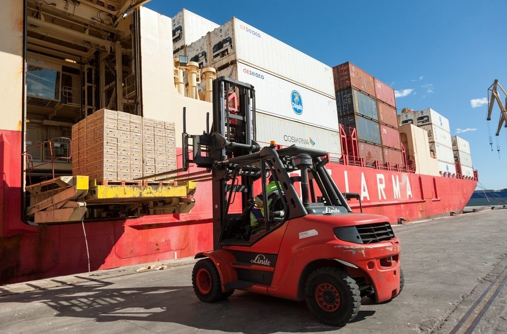 Fruport solicita ampliar instalaciones