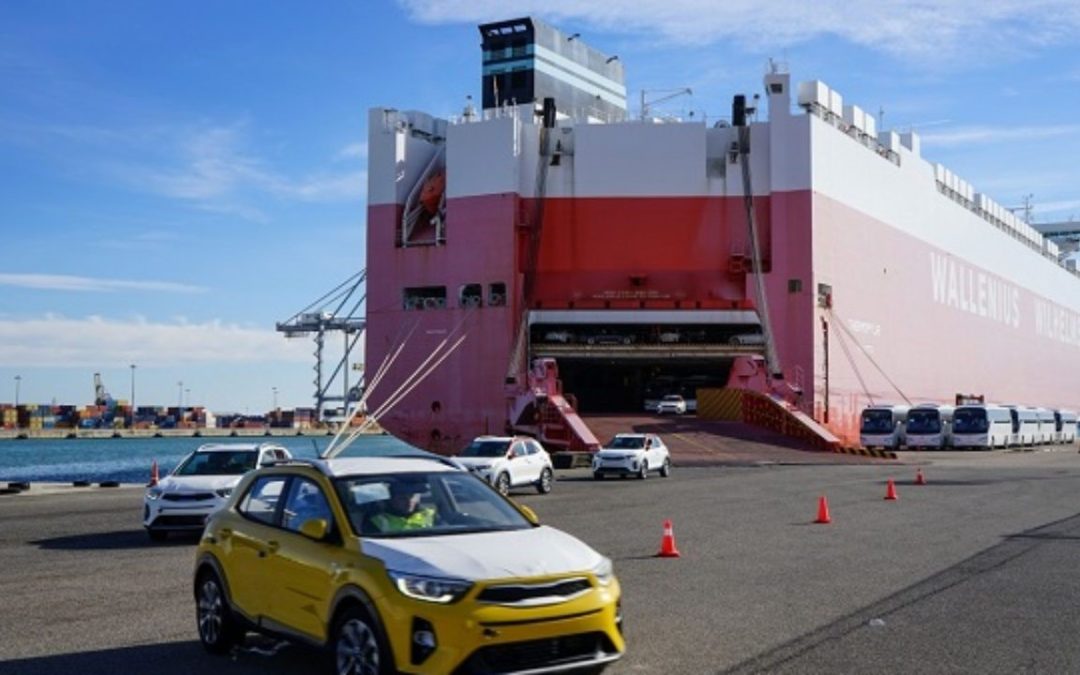 Noatum Terminal solicita ocupar más espacio