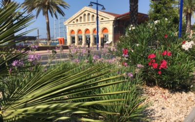 El Port de Tarragona planta nuevas zonas verdes para conseguir absorber hasta 1.405,18 toneladas de CO2 al año