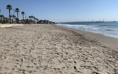 Finalizan los trabajos de regeneración de la playa de La Pineda