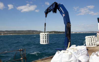 Repsol financia la instalación de nuevos biotopos marinos en la playa de la Pineda