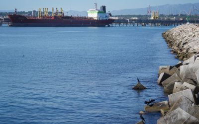 El Port remarca su intención de reducir totalmente su huella de carbono a través de su Plan de Sostenibilidad