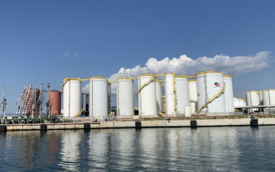 El Med Hub Day 2020 muestra la confianza del sector petroquímico ante los retos de futuro