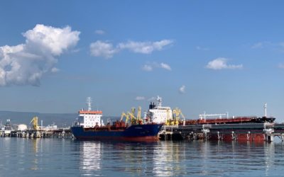 La dependencia de energéticos merma la velocidad de recuperación del Port