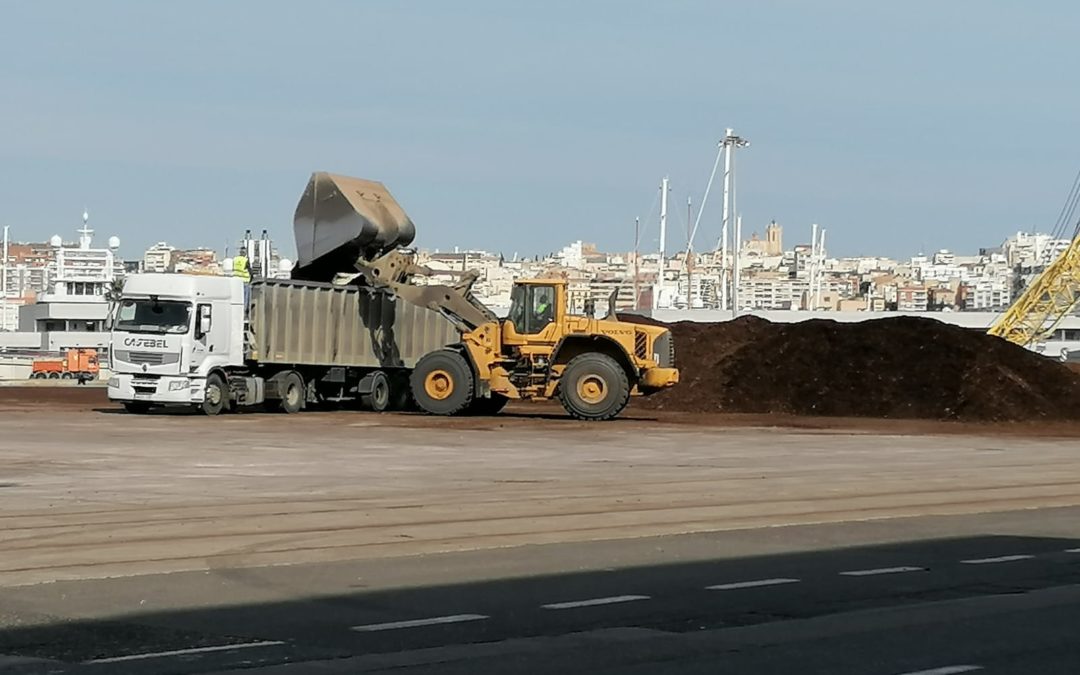 El Port retira de los muelles 12.600 toneladas de astilla de madera