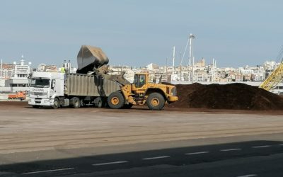 El Port retira de los muelles 12.600 toneladas de astilla de madera