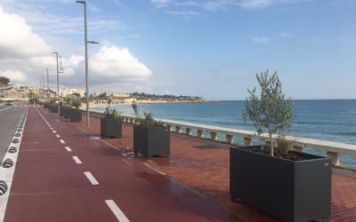 El Port crea más espacio verde en el Passeig Marítim del Miracle