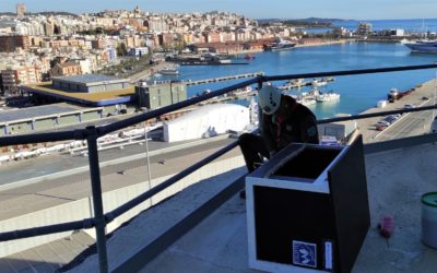 El Port quiere recuperar el halcón peregrino como especie nidificante en el recinto portuario