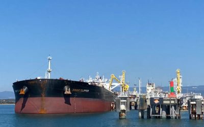 El Port, muy cerca de las cifras prepandemia al registrar 15 millones de toneladas en el primer semestre
