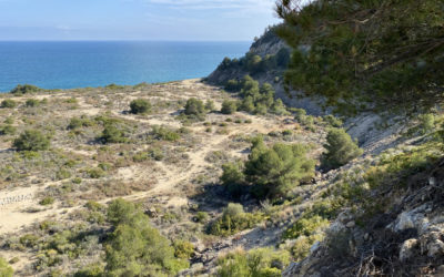 El Port Tarragona licita la adecuación del Camí de Ronda de la zona del Cap Salou