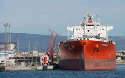 TEPSA consigue la autorización para la importación de subproductos de origen animal para la producción de biocombustibles