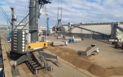 Euroports y Al Dahra Europe realizan la operativa de agroalimentario más grande de la historia del Port