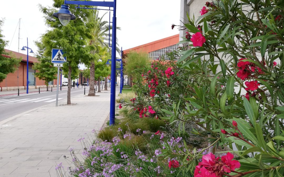 El Port sustituye la luminaria del Moll de Costa por un alumbrado más eficiente y sostenible