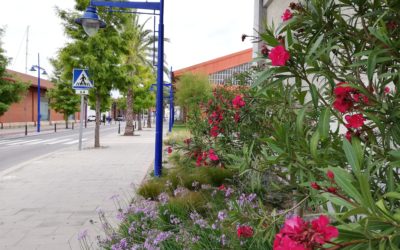 El Port sustituye la luminaria del Moll de Costa por un alumbrado más eficiente y sostenible