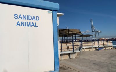 Piden mejoras en el Port para la exportación de ganado vivo