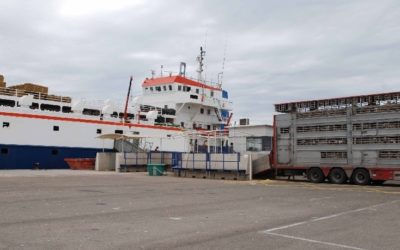 El Port ampliará el aparcamiento cubierto para camiones del embarque de ganado
