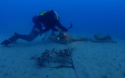 El Port y la URV continúan la inmersión de biotopos para la regeneración de la vida marina