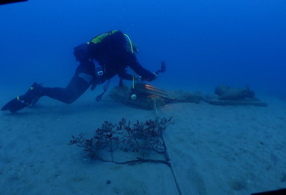 El Port y la URV continúan la inmersión de biotopos para la regeneración de la vida marina