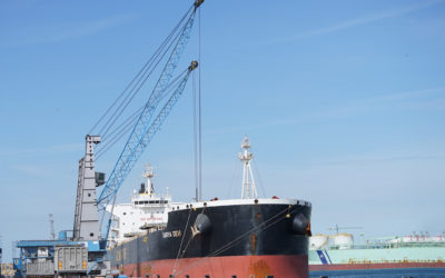 El Port registra 1,9 millones de toneladas en marzo, cerrando el primer trimestre con una pérdida del 2%
