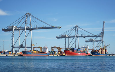 El Port mantiene el liderato del crecimiento en movimiento de contenedores