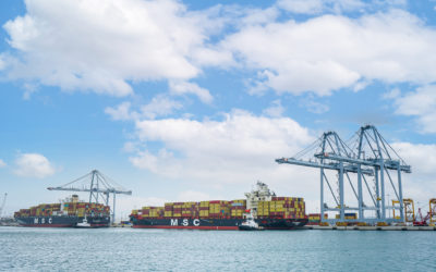 El Port suma en julio 2,3 millones de toneladas con récord en agroalimentario