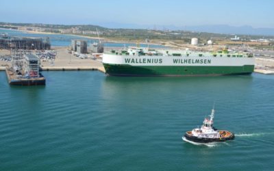 El operador global Wallenius señala que el conflicto de la estiba seguirá aumentando los retrasos operativos en el Port