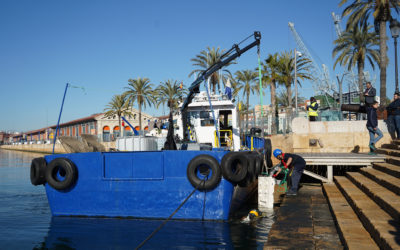 El Port inicia un nuevo proyecto de regeneración de biodiversidad marina