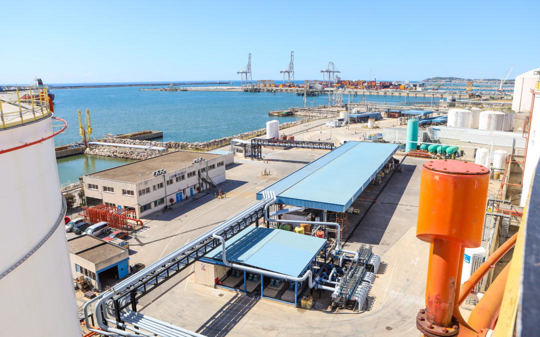 Euroenergo quiere reformular parte de  sus instalaciones de graneles líquidos