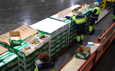 Fruport solicita mayor espacio operativo para atender la creciente importación de fruta