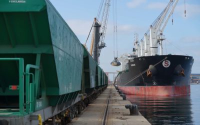 El Port aumenta un 10% el movimiento de trenes durante 2023