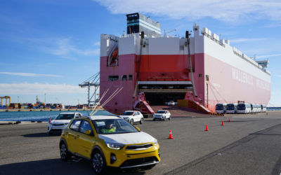 Puertos del Estado analizará el potencial de la terminal de automóviles del Port