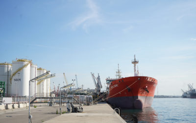 Pese a la fuerte recuperación en mayo, la merma de graneles sólidos marca los cinco primeros meses del año en negativo (-1,4%)
