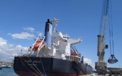 Alfaship atendió en 2023 el 34% de las escalas de agroalimentario del Port